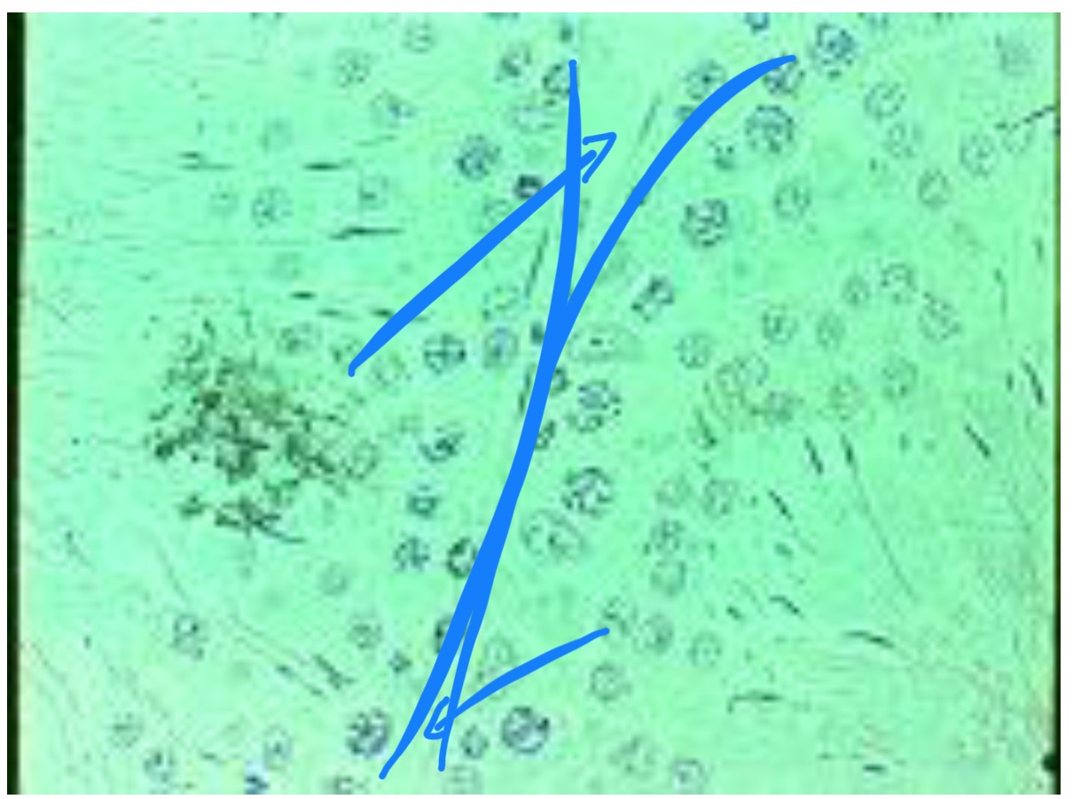 term image