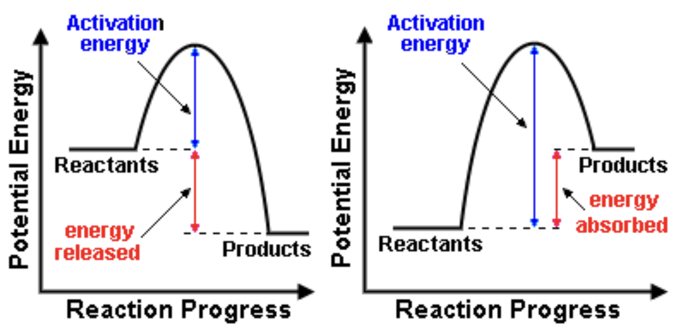 <p>which reaction is which?</p>