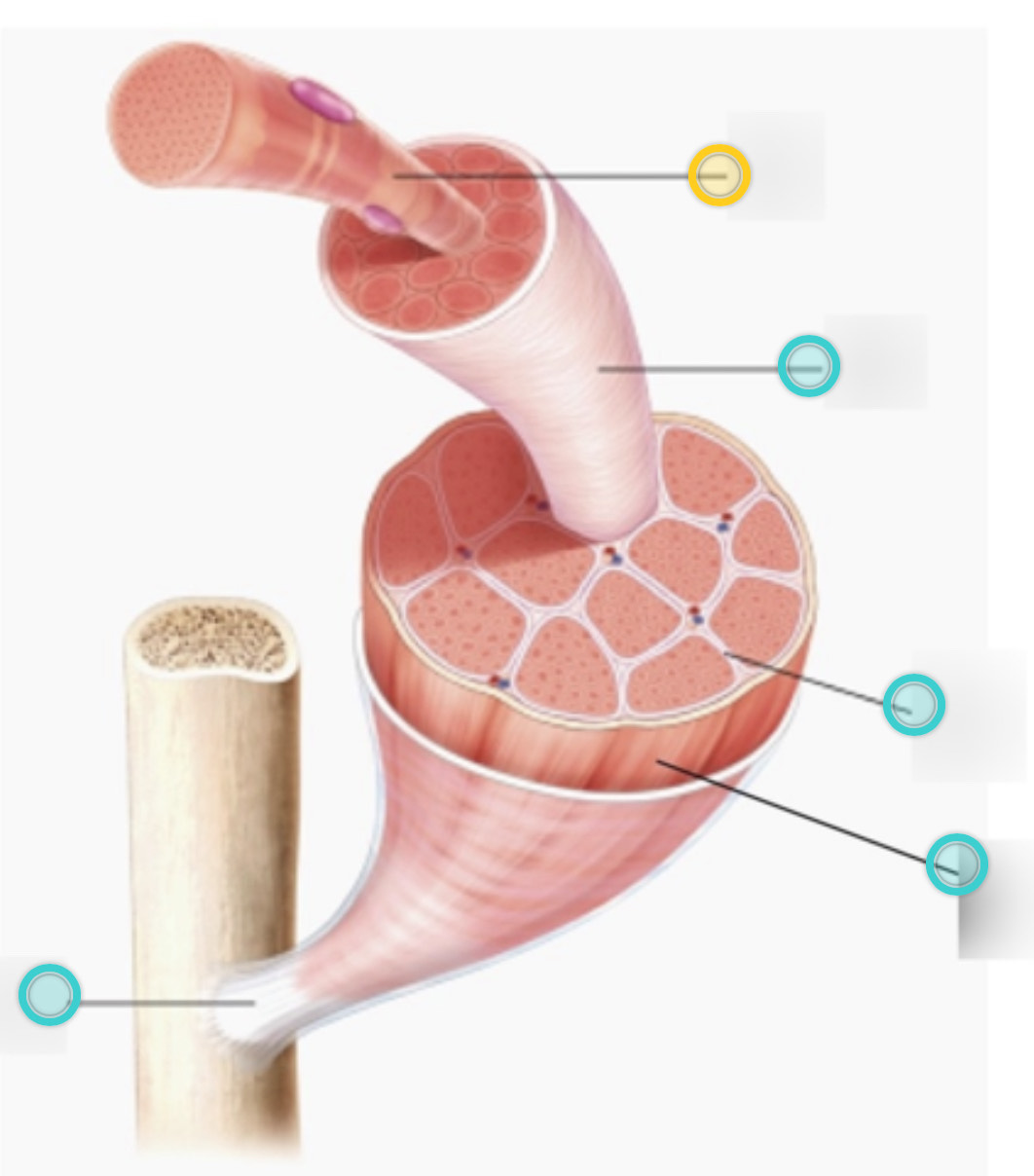 <p>what is this on the diagram?</p>