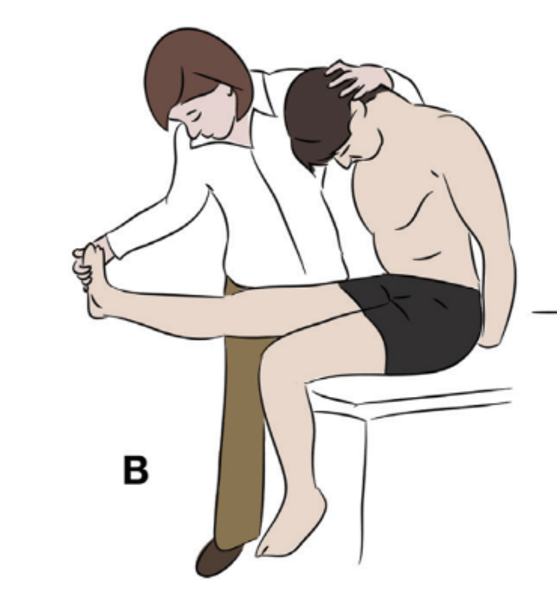 <p>- cervical flexion </p><p>- thoracic and lumbar spine flexion (slump) </p><p>- hip flexion (> 90°), ABD</p><p>- knee extension </p><p>- ankle DF </p>