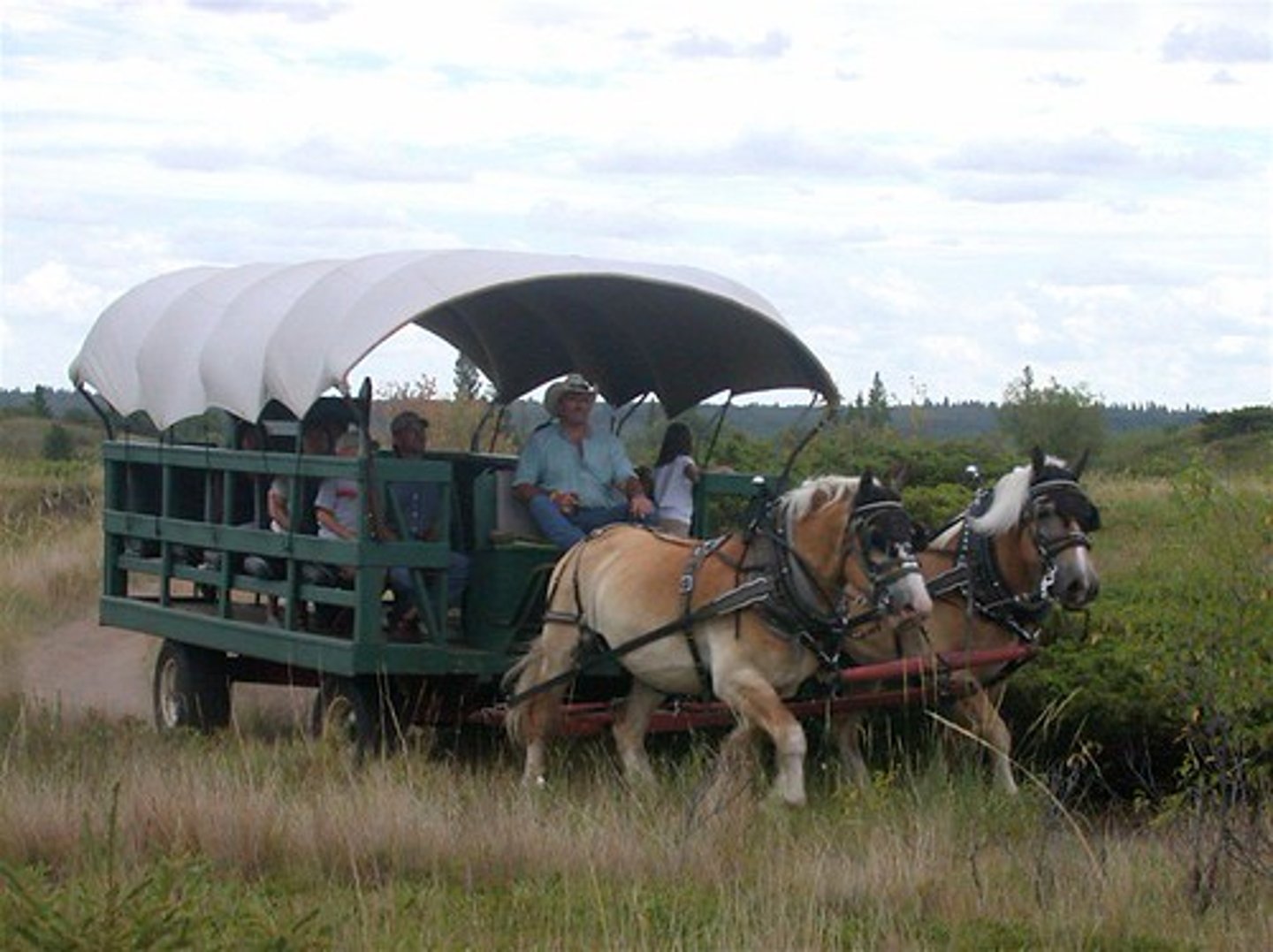 <p>The business boom in the United States continued to bypass THIS region of the country which continued to suffer economic stagnation.</p>