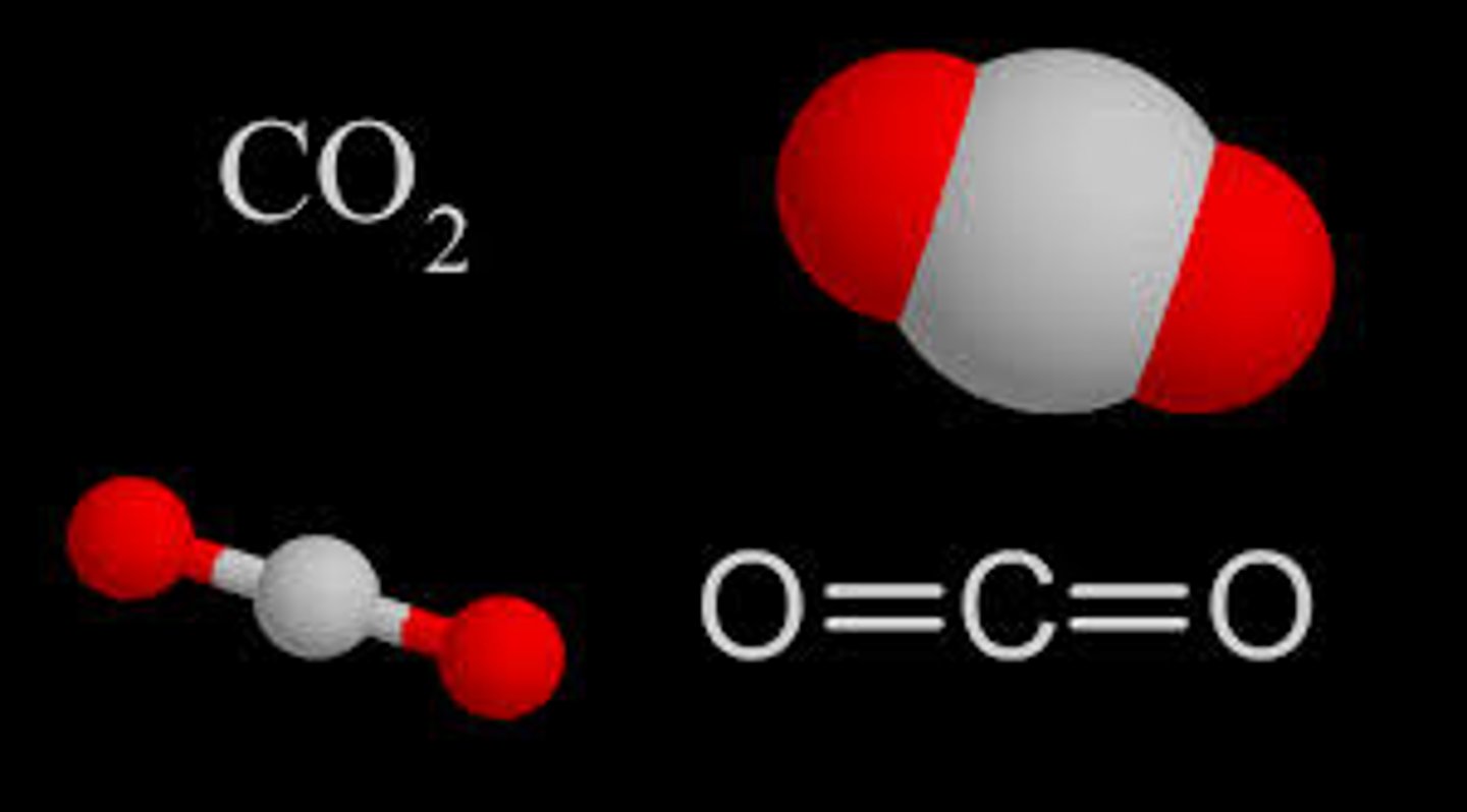 <p>khí CO2</p>