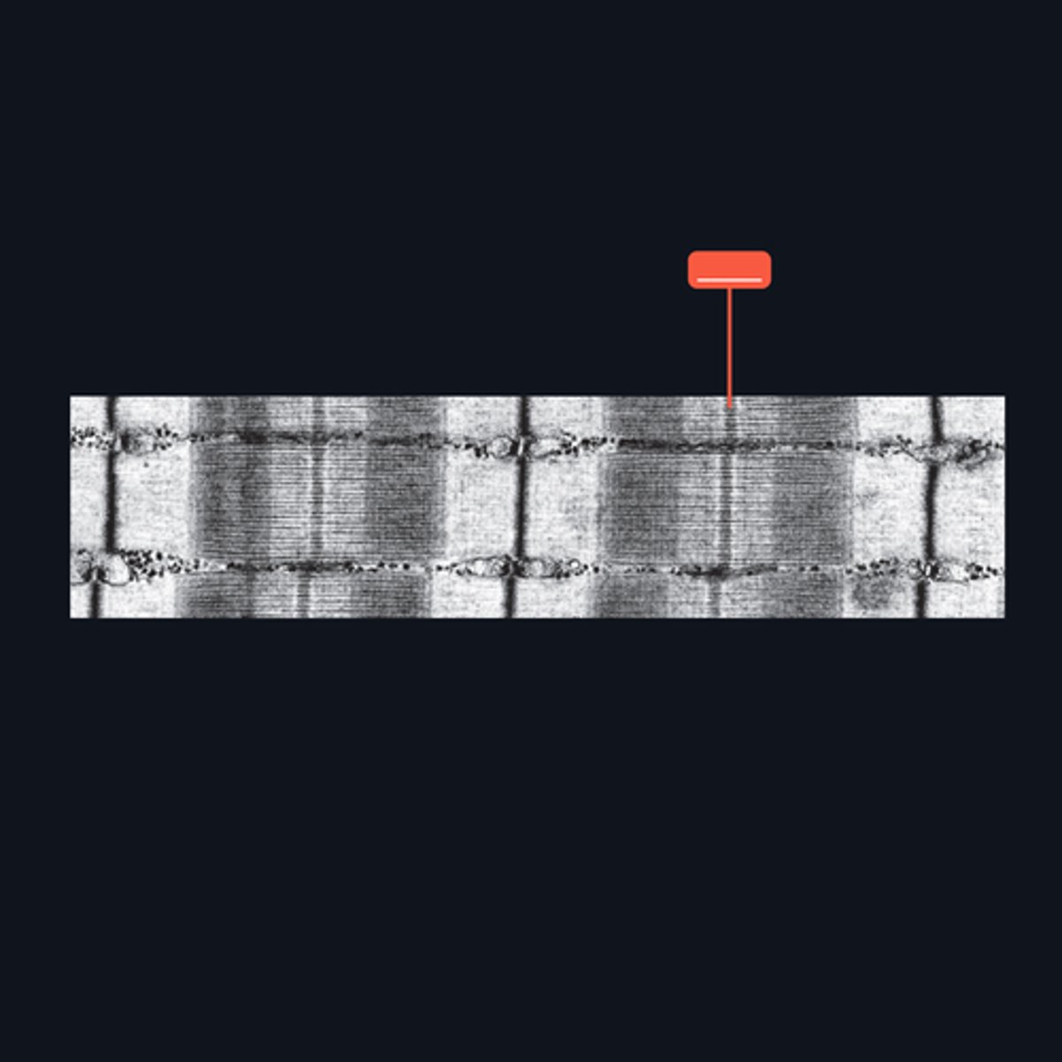 <p>Identify the structure</p>