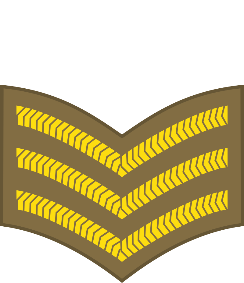 <p>What rank is this?</p>