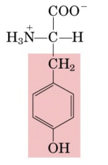 <p>What’s this aminoacid?</p>