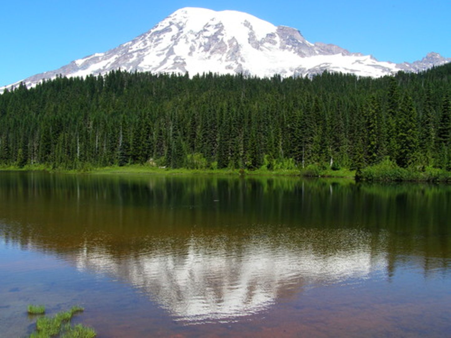 <p>Territoire dans lequel la faune, la flore et le milieu naturel sont protégés des activités humaines</p>