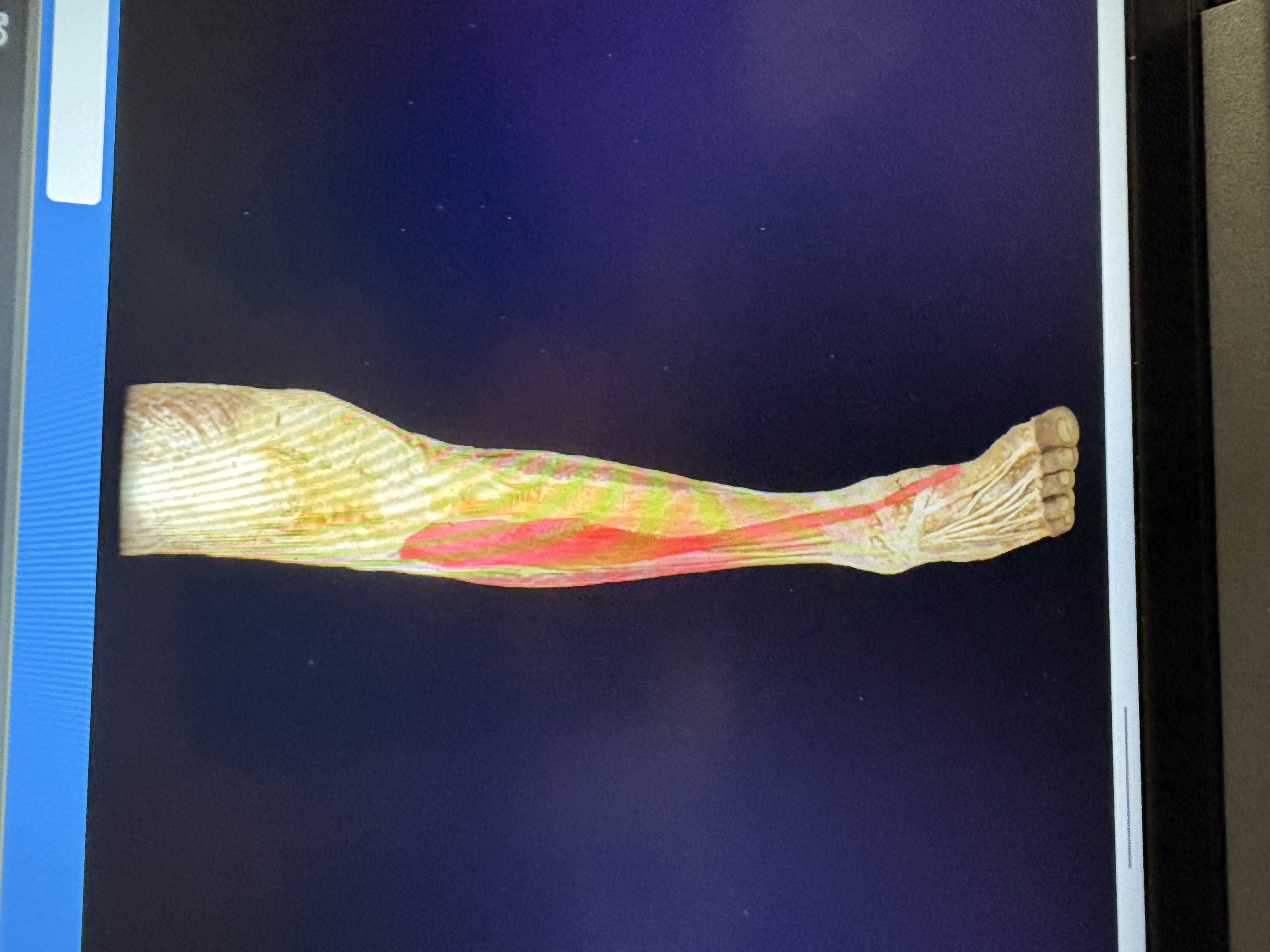 knowt flashcard image