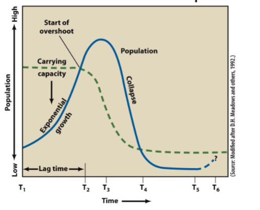 <p>What does this graph depict?</p>