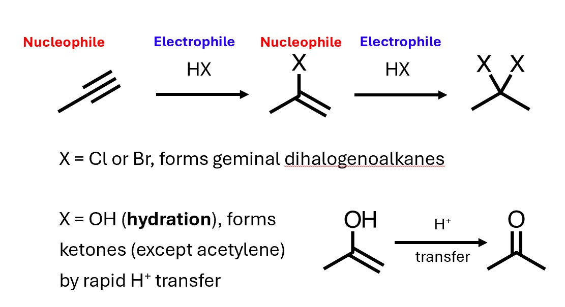 <p>Alkynes can also act as nucleophiles, and suitable electrophiles can add to them</p><ul><li><p>Germinal - compound with the functional groups on the same carbon atom</p></li></ul><p></p>