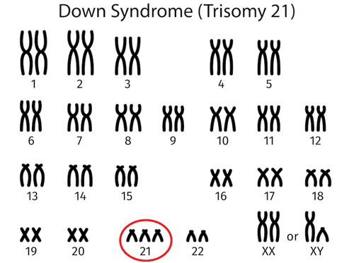 <p>Effects of Mutations</p>