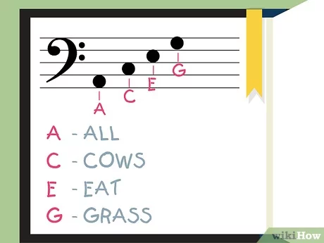 An abbreviation for space notes in the bass clef