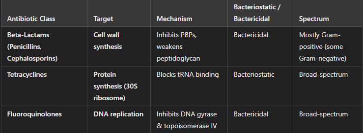 <p>Antibiotics work by inhibiting <strong>essential bacterial processes</strong>, preventing growth and reproduction.</p>