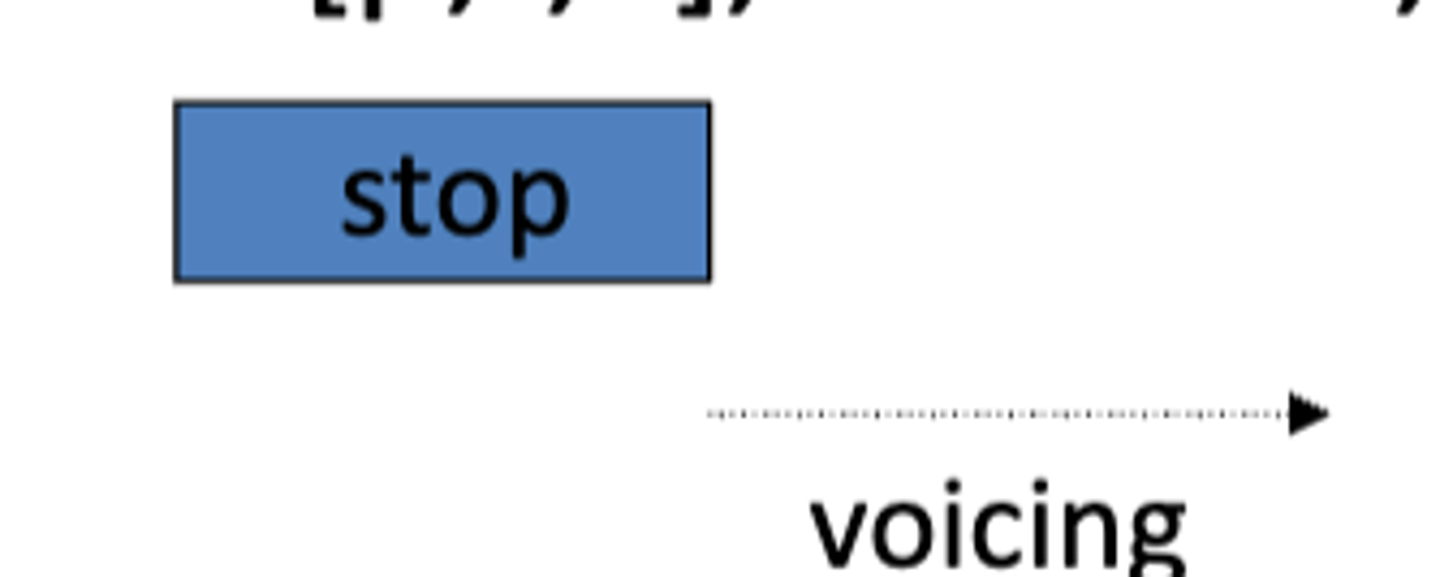 <p>French and Russian [p, t, k] and German and English [b, d, g]</p>