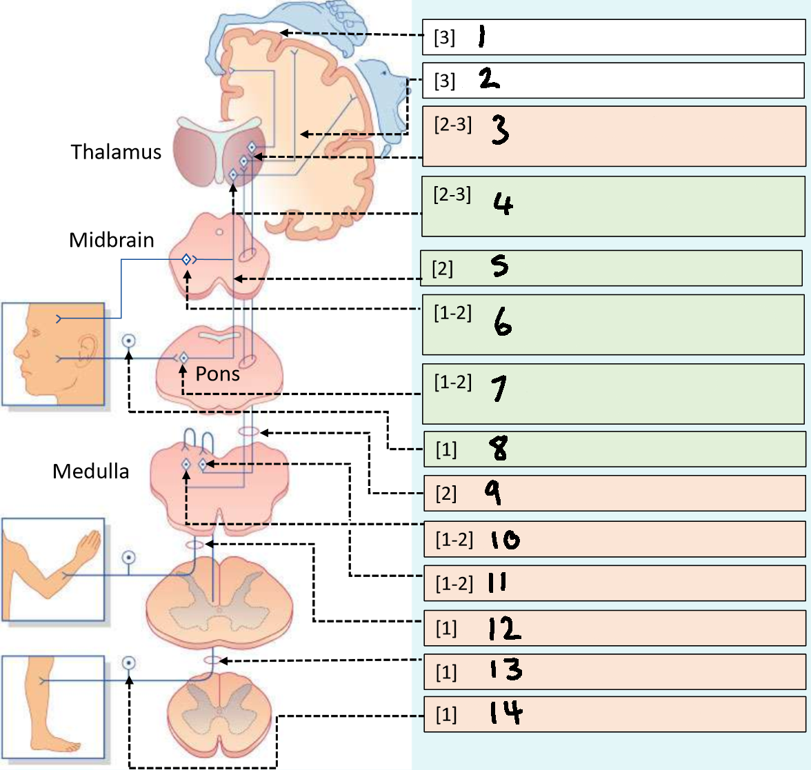 <p>What is 14?</p>