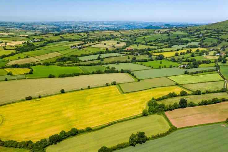 <p>Farmland</p>