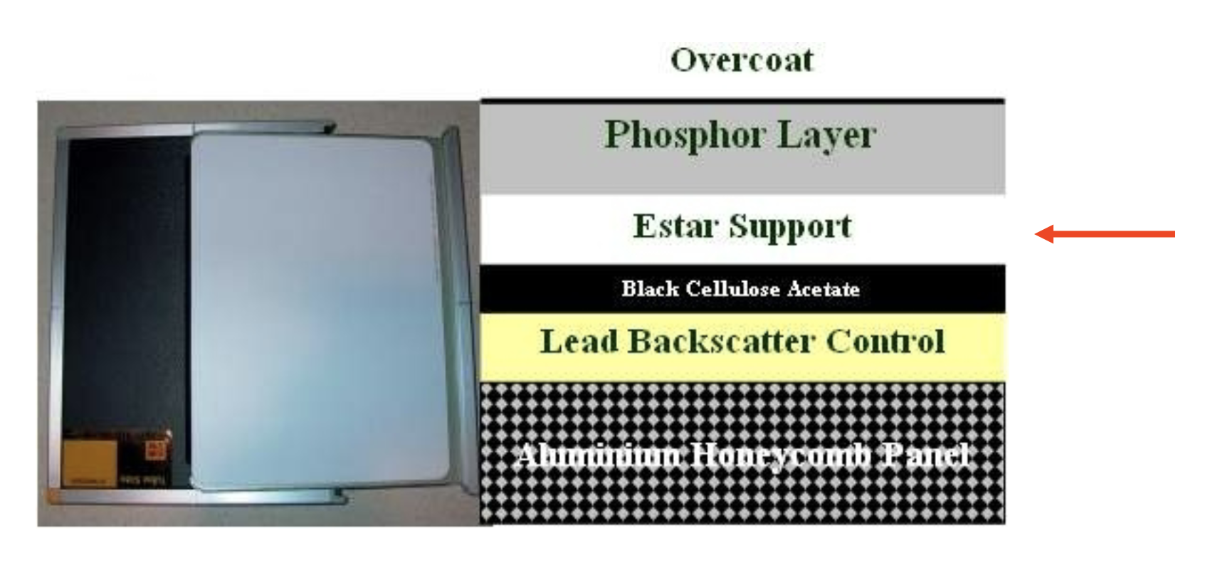<p>support layer</p>