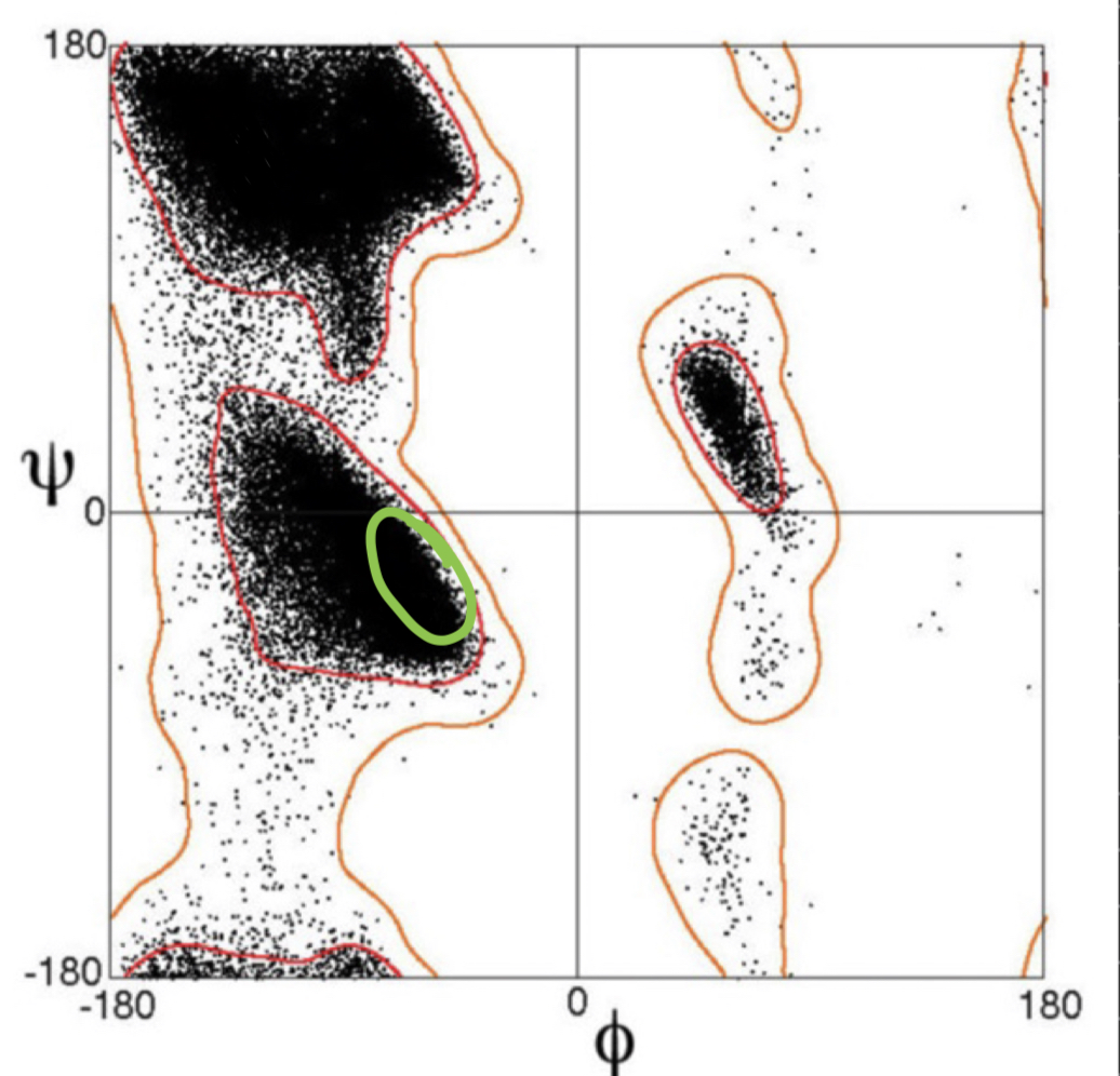 <p>what secondary structure is indicated by the green circle?</p>