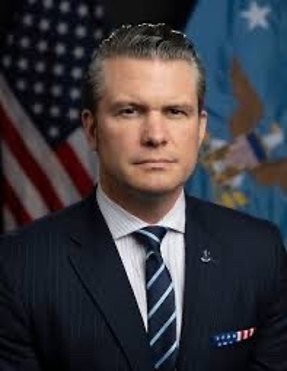<p>Pete Hegseth</p>