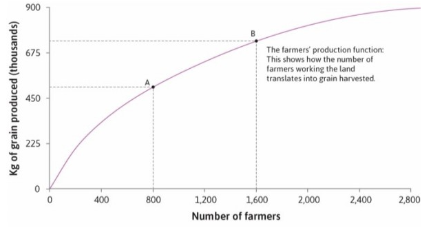<p><span>The following diagram depicts the production function of the farmers, where diminishing average product of labour is assumed. At A the average product of labour is 500,000/800 = 625 kg of grain per farmer. At B the average product of labour is 732,000/1,600 = 458 kg of grain per farmer. If you know that the grain output for 2,800 farmers is 894,000kg, then which of the following statements are correct?</span></p><ul><li><p>When the labour input is 2,800, the average product of labour is 300 kg.</p></li><li><p>The slopes of the rays from the origin to the production function decrease along the curve, indicating that the average product of labour is decreasing.</p></li><li><p>If the production function curve is an upward-sloping straight line, then there is no diminishing average product of labour.</p></li><li><p>For this production function, it is possible that initially there are economies of scale (for example, when there are two farmers instead of one, the average output increases as they efficiently share the workload).</p></li></ul><p></p>
