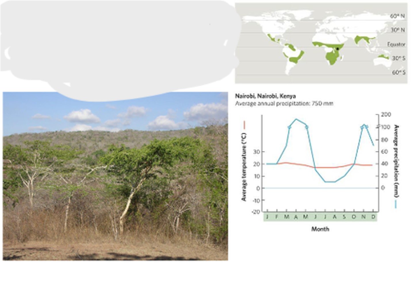 <p>warm temperatures and pronounced wet and dry seasons dominated by trees that shed their leaves during the dry season</p>