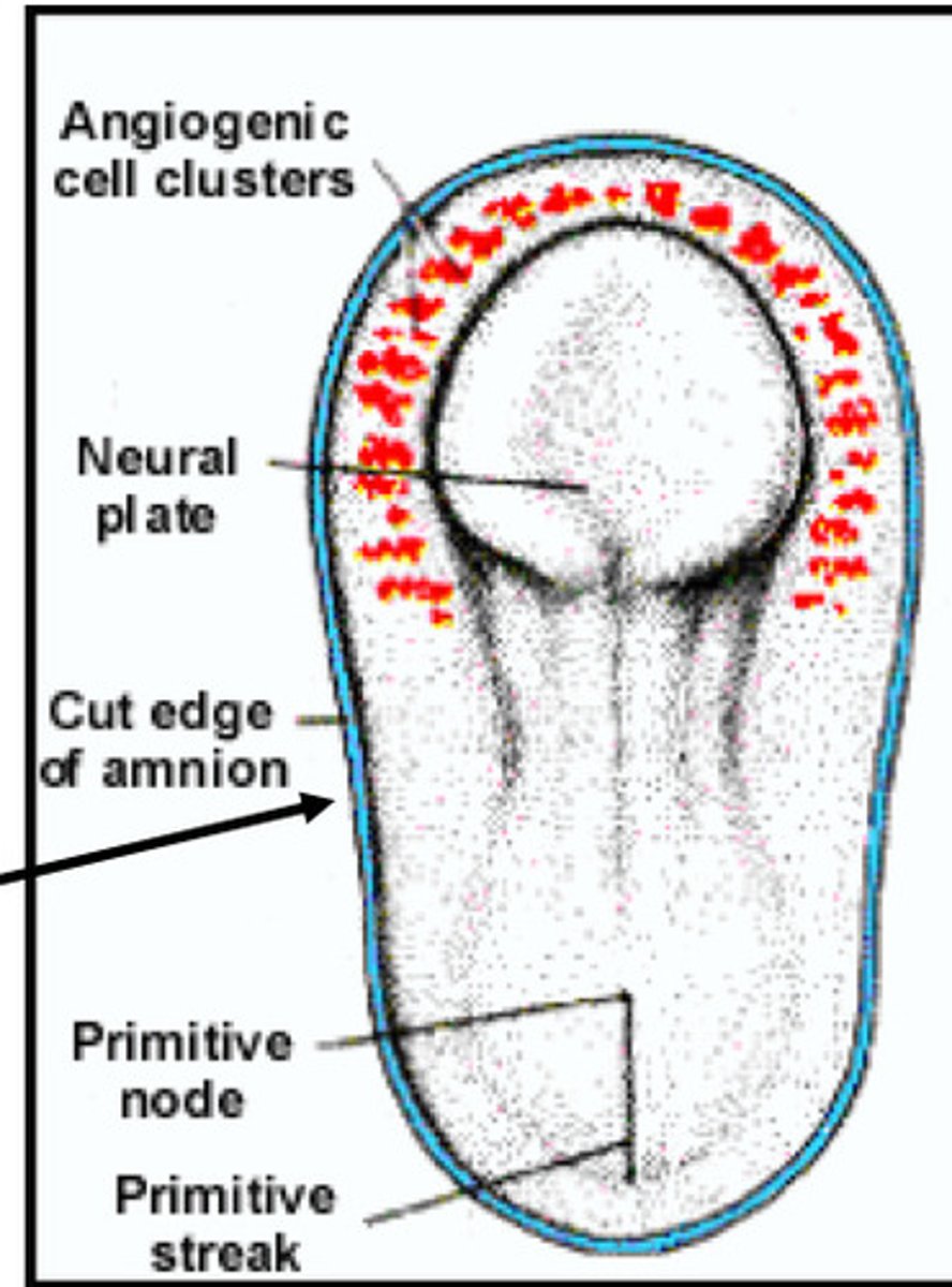 <p>What does this image represent</p>