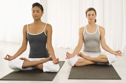 a system of exercises practiced as part of the Hindu discipline to promote control of the body and mind