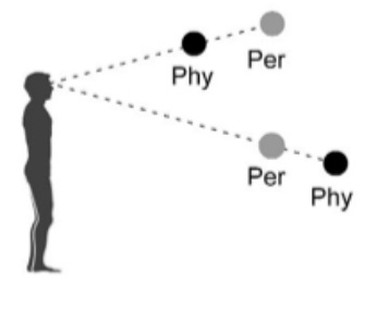<ul><li><p>In a dark room, an object is usually judged to be at about the same distance from the observer as neighbouring objects.</p></li><li><p>Starry sky</p></li><li><p>Statistics of natural scenes</p></li></ul><p></p>