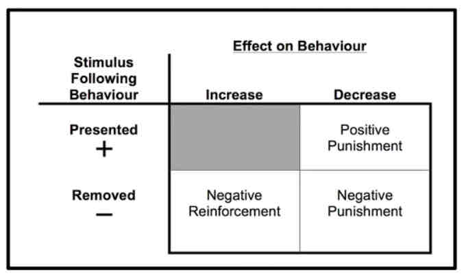 <p>DEFINED INI TERMS OF EFFECT ON BEHAVIOUR</p><ul><li><p>Spanking is only a punisher if it results in decrease of behaviour</p></li></ul><p><strong>Positive Punishment</strong>: any event/stimulus added to decrease behaviour</p><p><strong>Negative Punishment</strong>: any event/stimulus removed to decrease behaviour</p><p><strong>Negative Reinforcement</strong>: any event/stimulus removed to increase behaviour</p>