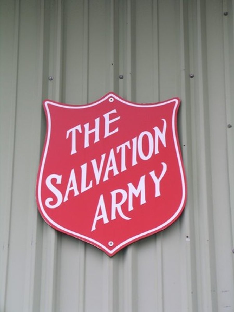 <p>non-profit organization</p>
