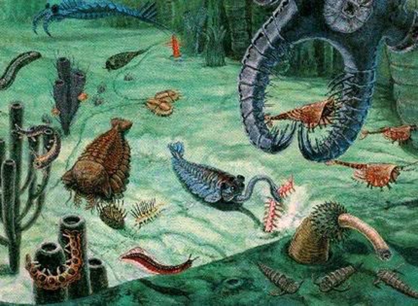 <p>the oldest era - immediately after Precambrian; organisms developed hard parts</p>