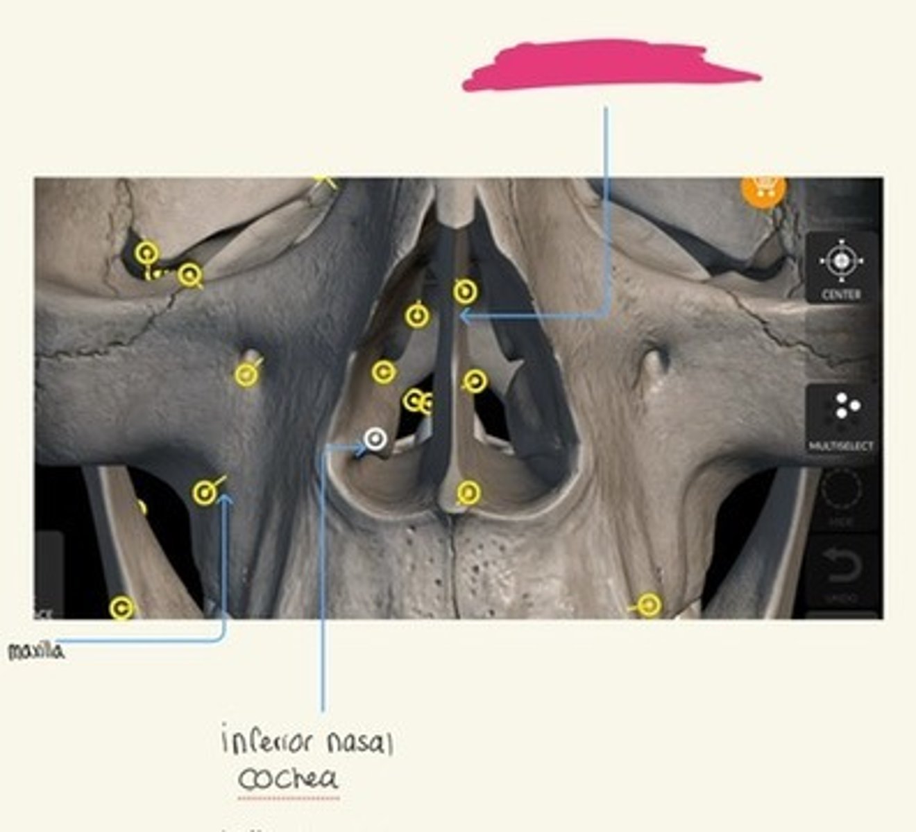 knowt flashcard image