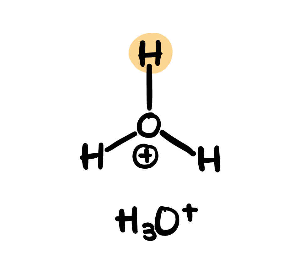 <p>H3O+</p>