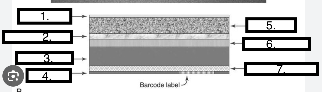 <p>LABEL</p>