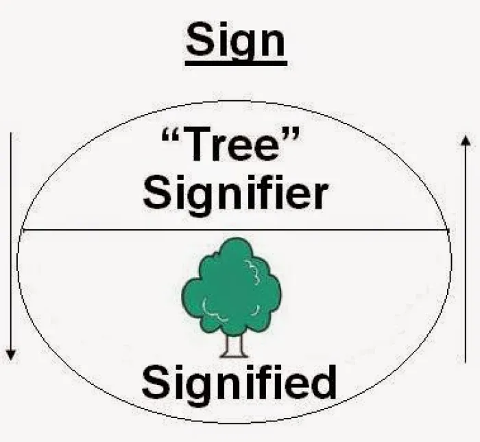 <ul><li><p><strong>Signifier</strong></p></li><li><p><strong>Signified</strong></p></li></ul><p></p>