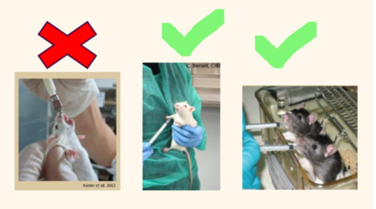 <p>Minimize pain and distress to animals used in research.</p>
