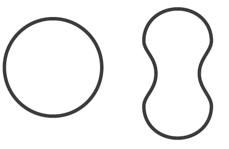 * large circle
* intact
* round