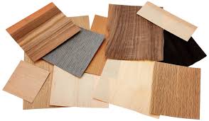 <p>What is a veneer?</p>