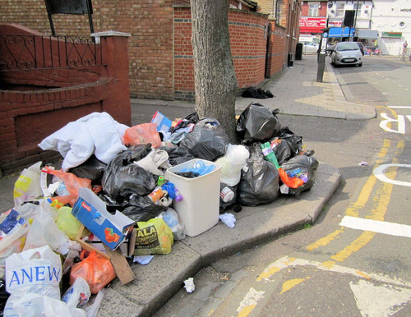 <p>miscellaneous collection</p>