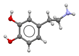 <p>dopamine</p>