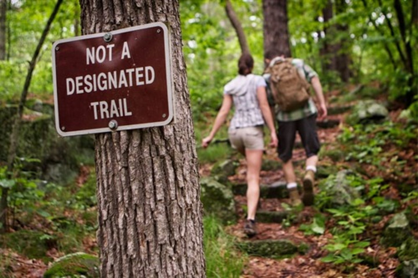 <p>du lịch trên con đường ít người đi</p>