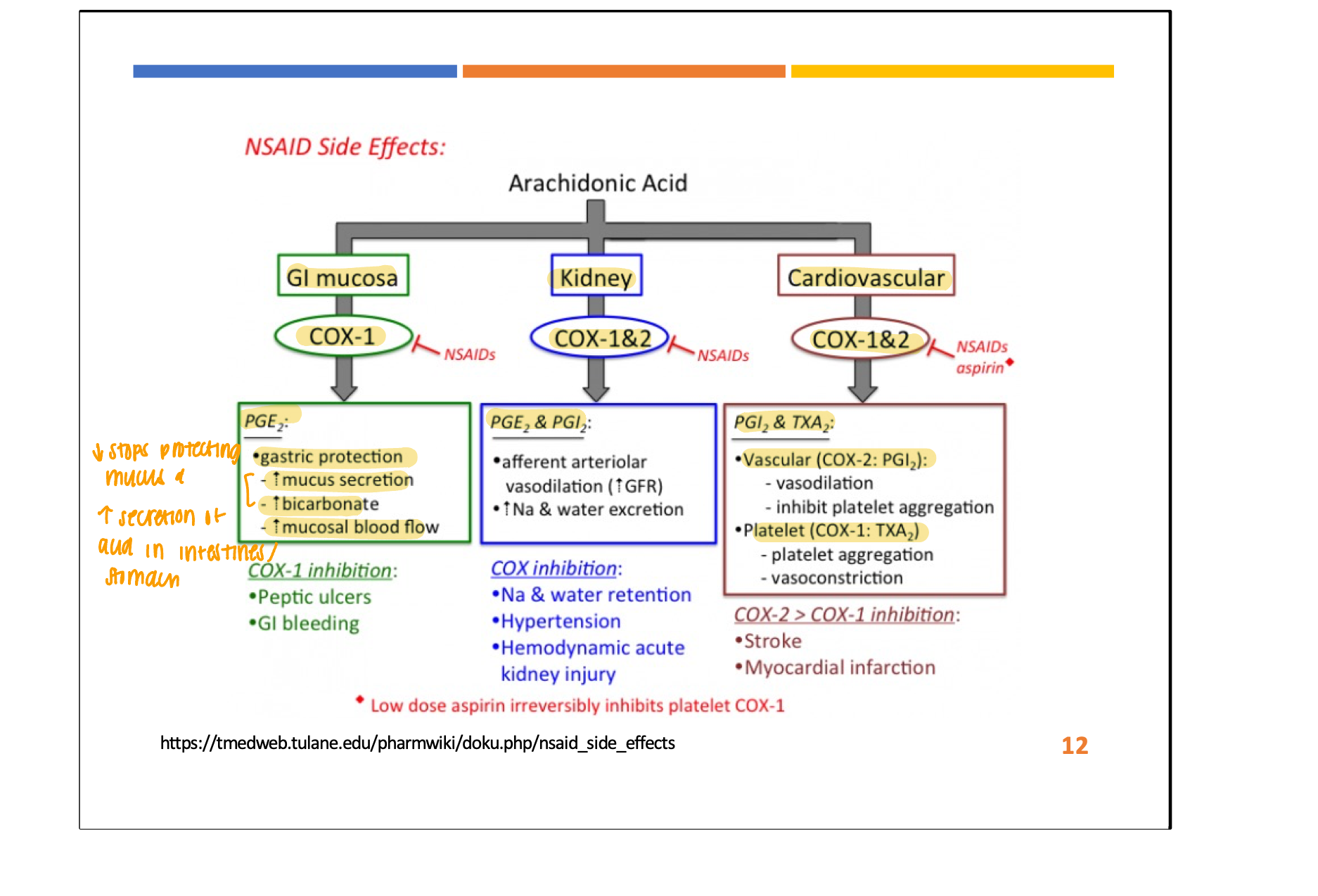 <ul><li><p><strong>GI (COX 1)</strong> → GI distress, PUD, bleeding</p></li><li><p><strong>Kidney</strong> <strong>(COX 1 and 2)</strong> → nephrotoxicity, sodium and water retention</p></li><li><p><strong>Cardiac</strong> <strong>(COX 1 and 2) </strong>→ <span data-name="arrow_up" data-type="emoji">⬆</span> risk of CVD events → more often with COX 2 only and <strong>not</strong> mixed with ASA (aspirin)</p></li></ul><p></p>