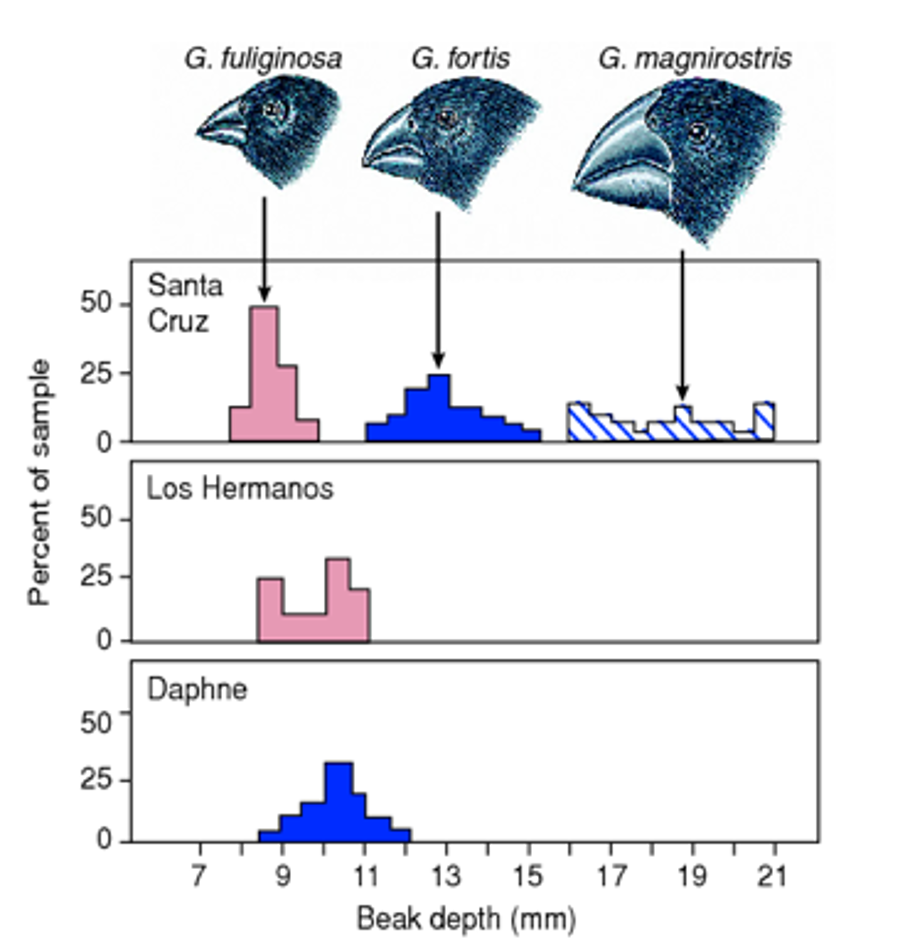 <p>The data in this graph can be use to support the presence of _______ in this community.</p>