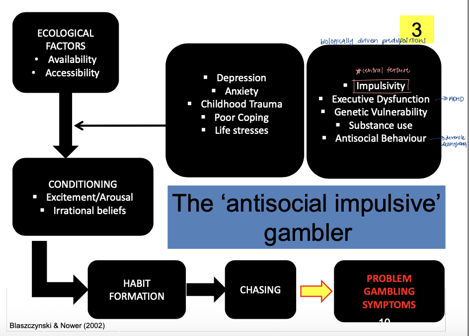 <p>biologically driven predispositions</p><ul><li><p>gambling commences at early age, rapidly escalates in intensity </p></li><li><p>IMPULSIVITY (+ executive dysfunction, genetic vulnerability, substance use, antisocial behaviour) → gamble for first time OR bring you back to gambling → conditioning → habit formation → chasing → PG symptoms </p></li></ul><p></p>