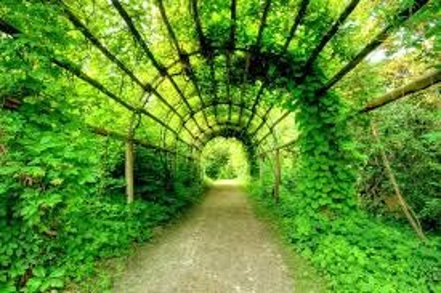 <p>/ˈvɜː.dənt/ (adj)<br>covered with healthy green plants or grass</p>