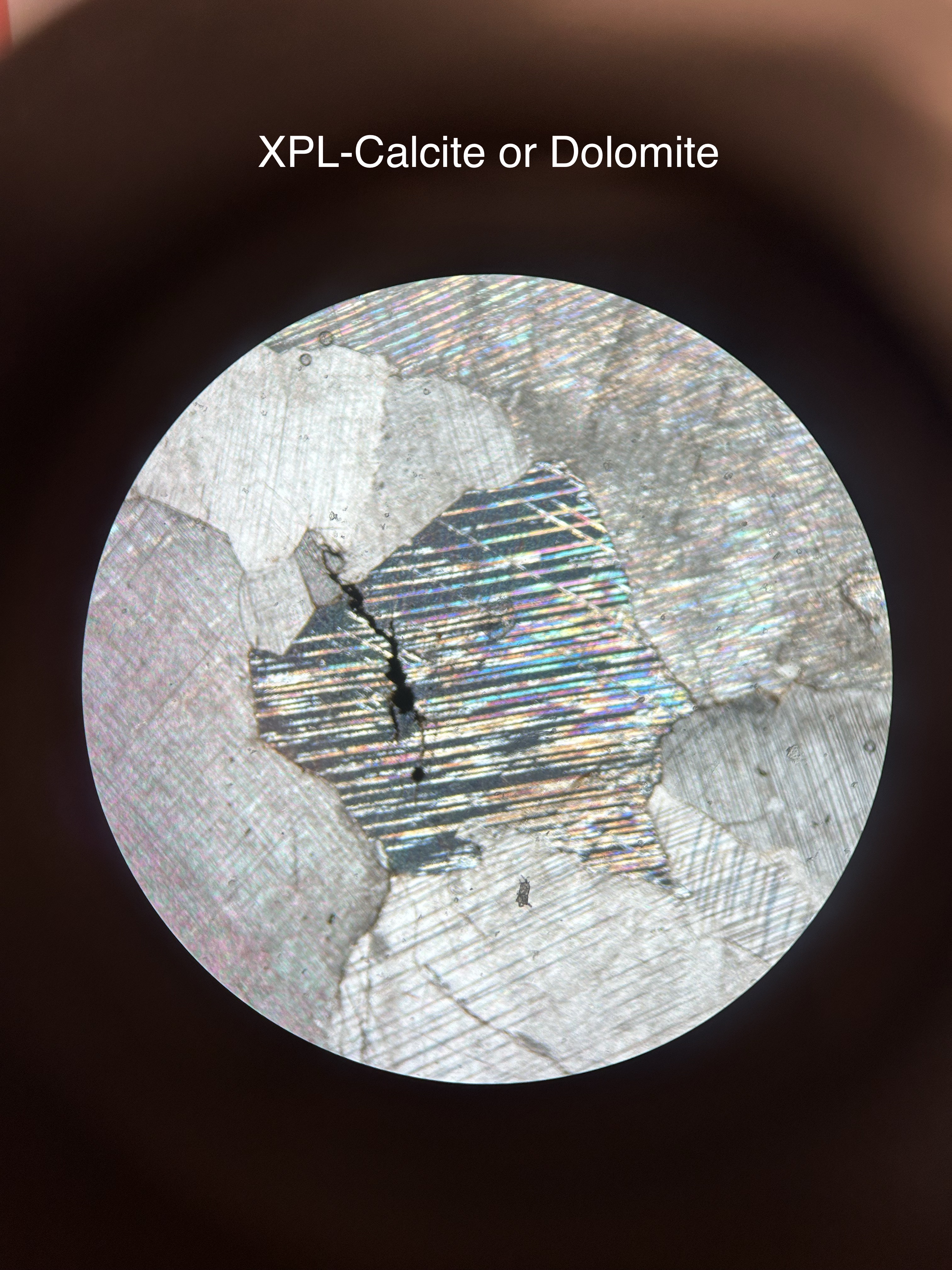 <p>high birefringence </p><p>lamellae</p>