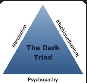 <ol start="20"><li><p>Machiavellian</p></li></ol><p>Ch 1. Pg 11</p>