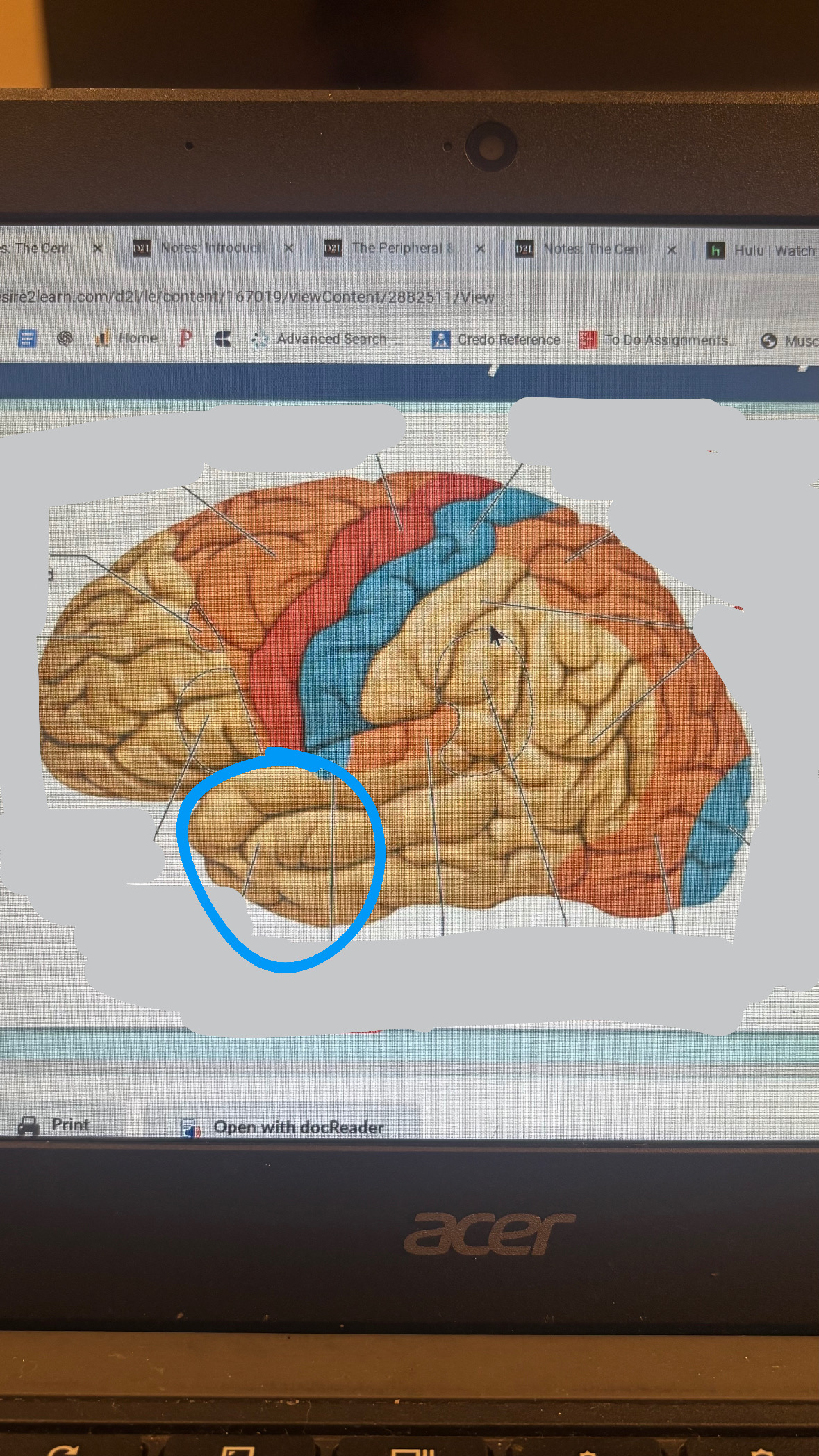 <p>wide variety of sensory integration tasks</p>