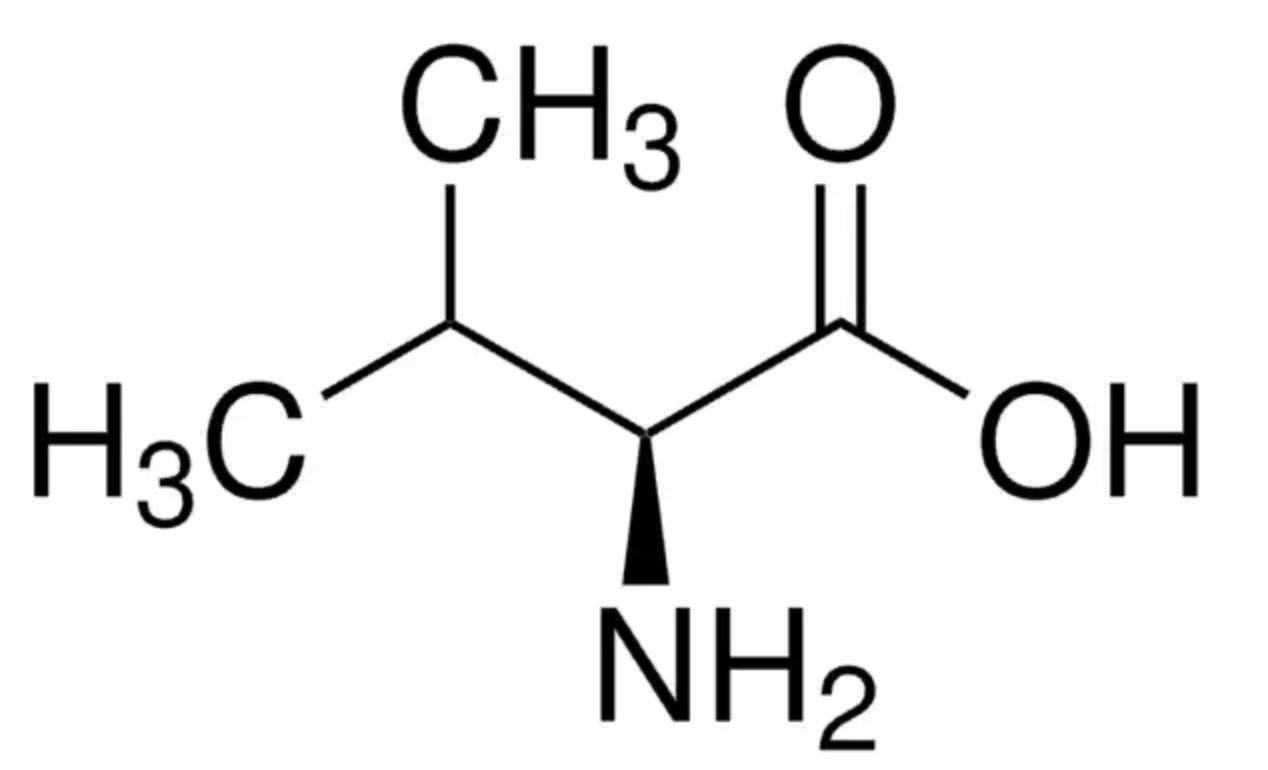 <p>Val, V, non-polar</p>