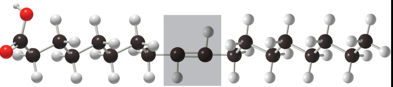 <p>Name of Fat </p>