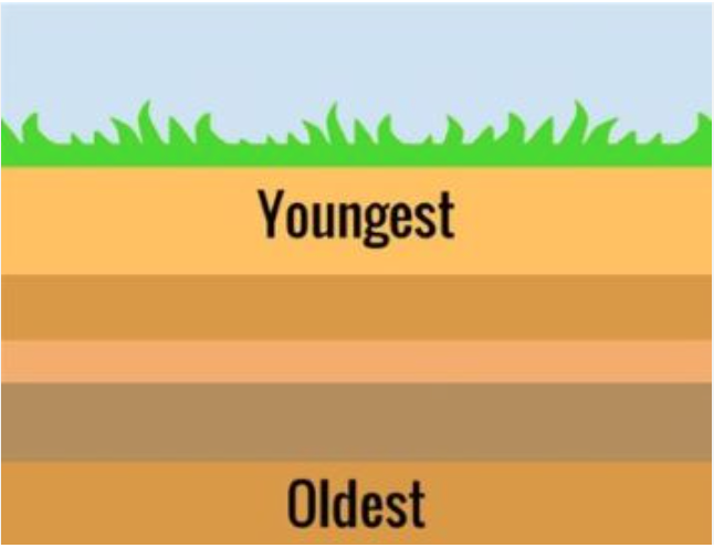 the principle that in a series of stratified sedimentary rocks the lowest stratum is the oldest
-the layer at the bottom of a sequence is the oldest, and the layer at the top is the youngest